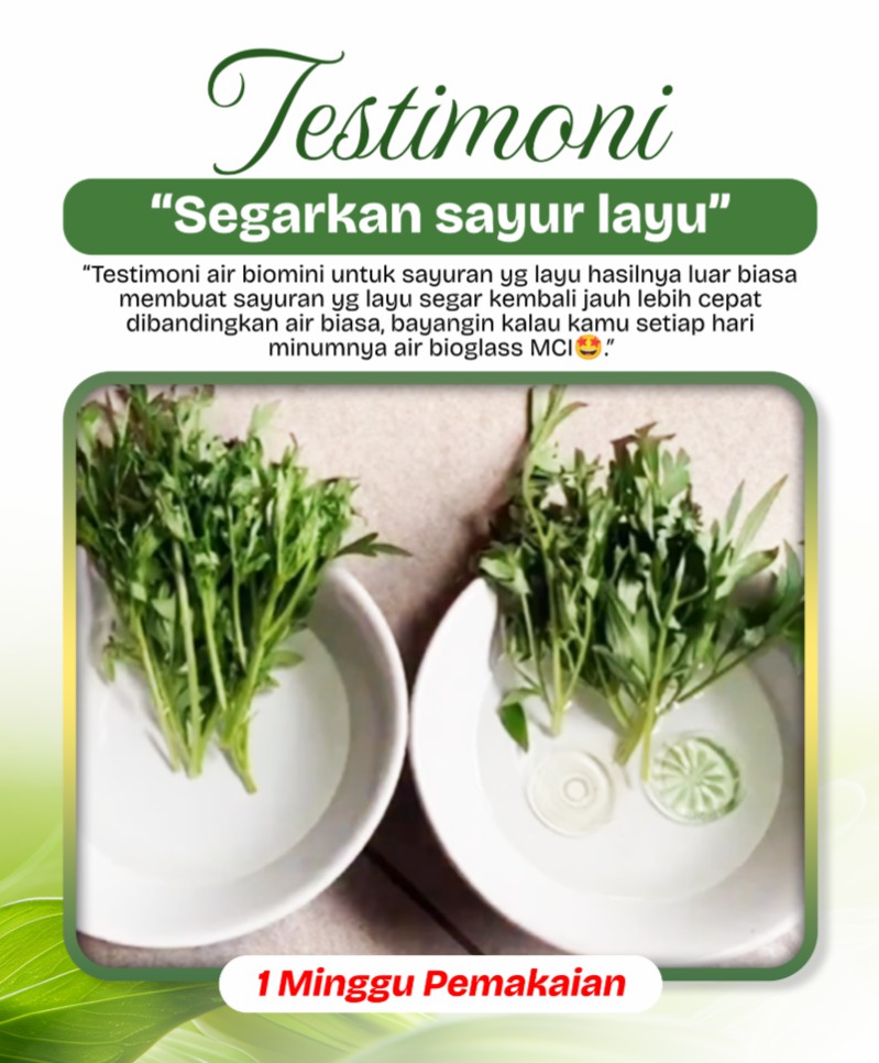 testimonial 5