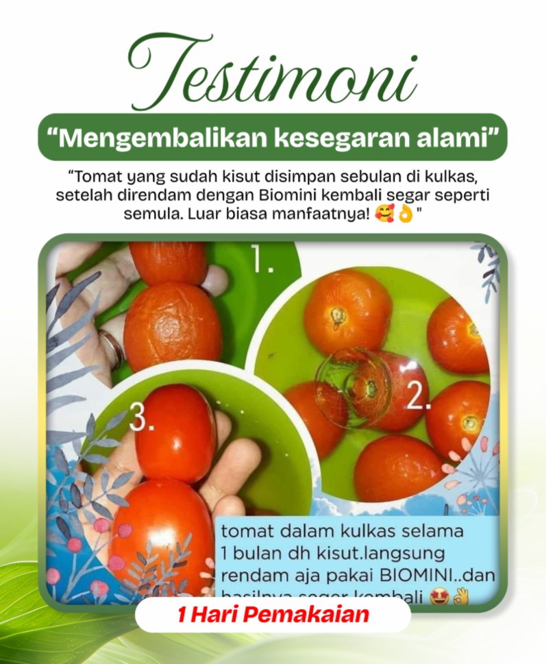 testimonial 5